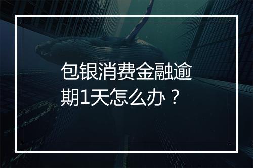 包银消费金融逾期1天怎么办？