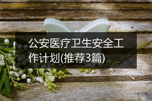 公安医疗卫生安全工作计划(推荐3篇)