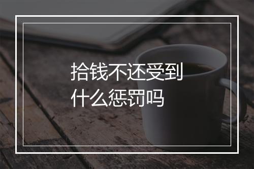 拾钱不还受到什么惩罚吗