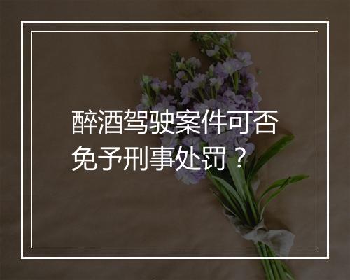醉酒驾驶案件可否免予刑事处罚？