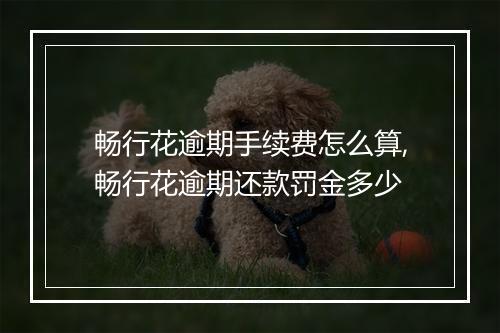 畅行花逾期手续费怎么算,畅行花逾期还款罚金多少