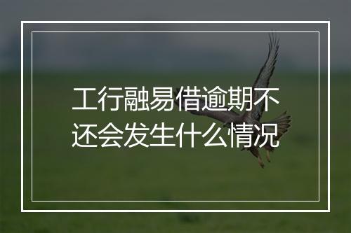 工行融易借逾期不还会发生什么情况
