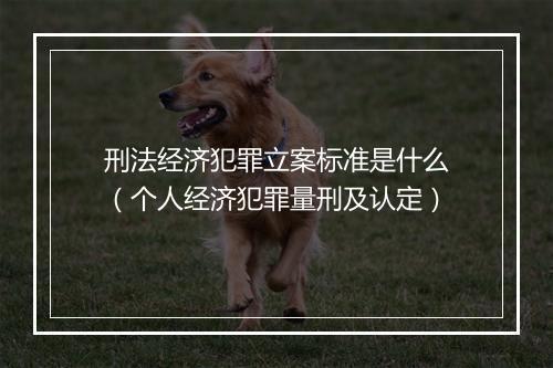 刑法经济犯罪立案标准是什么（个人经济犯罪量刑及认定）