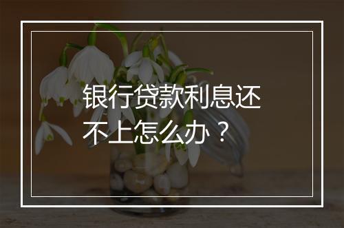 银行贷款利息还不上怎么办？