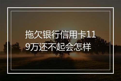 拖欠银行信用卡119万还不起会怎样