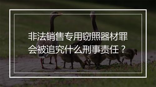非法销售专用窃照器材罪会被追究什么刑事责任？