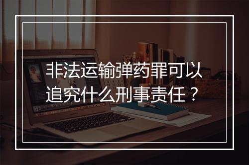 非法运输弹药罪可以追究什么刑事责任？