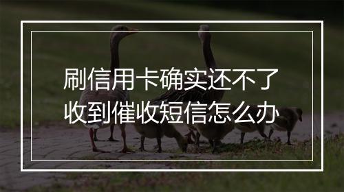 刷信用卡确实还不了收到催收短信怎么办