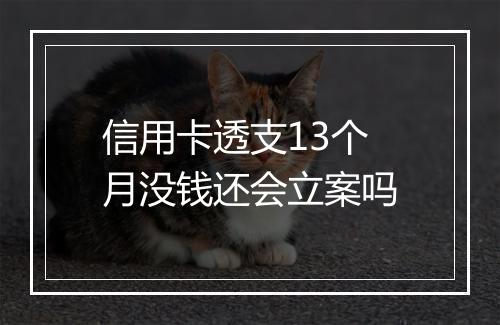 信用卡透支13个月没钱还会立案吗