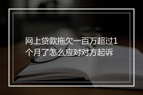 网上贷款拖欠一百万超过1个月了怎么应对对方起诉
