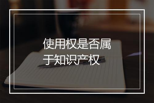 使用权是否属于知识产权