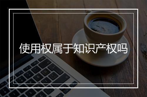 使用权属于知识产权吗
