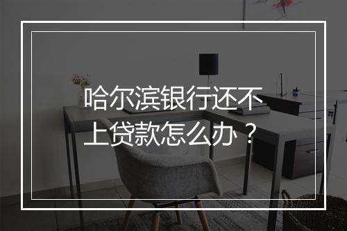 哈尔滨银行还不上贷款怎么办？
