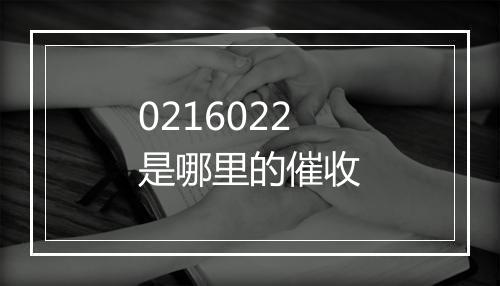 0216022是哪里的催收