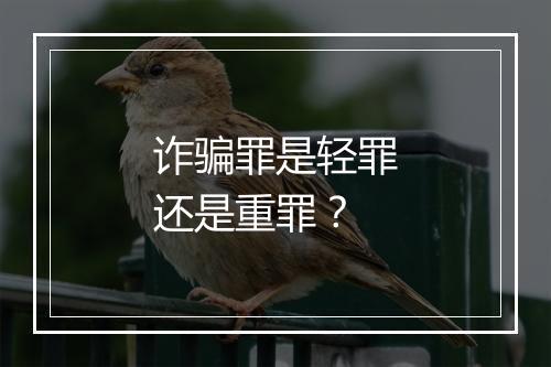 诈骗罪是轻罪还是重罪？