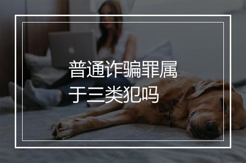 普通诈骗罪属于三类犯吗