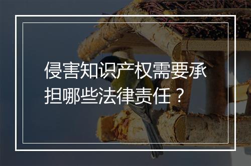 侵害知识产权需要承担哪些法律责任？