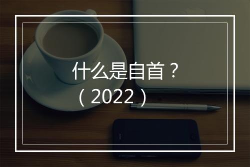什么是自首？（2022）