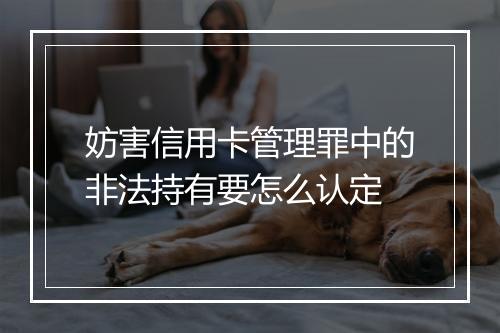 妨害信用卡管理罪中的非法持有要怎么认定