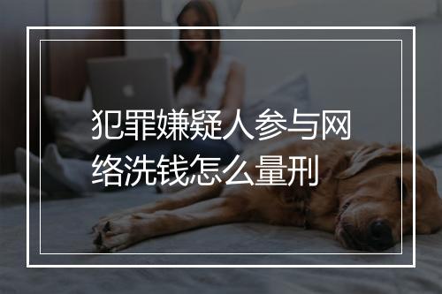 犯罪嫌疑人参与网络洗钱怎么量刑