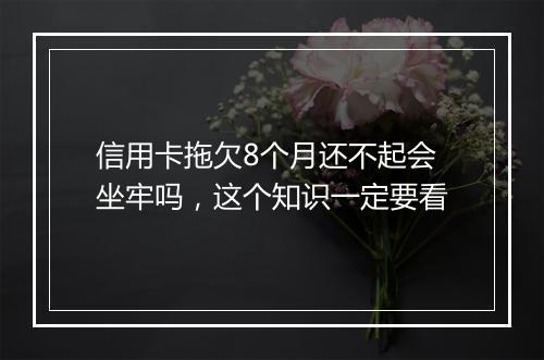 信用卡拖欠8个月还不起会坐牢吗，这个知识一定要看