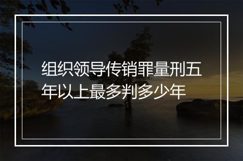 组织领导传销罪量刑五年以上最多判多少年