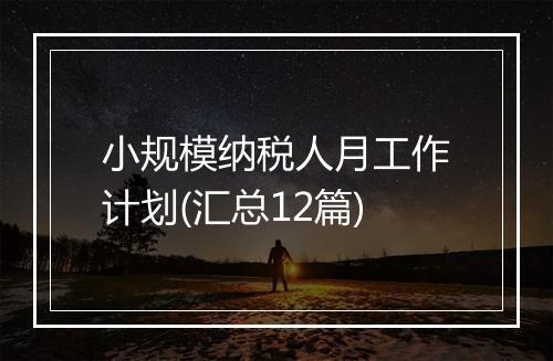 小规模纳税人月工作计划(汇总12篇)