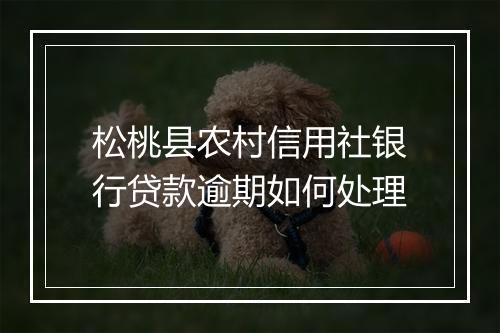 松桃县农村信用社银行贷款逾期如何处理