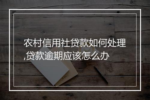 农村信用社贷款如何处理,贷款逾期应该怎么办