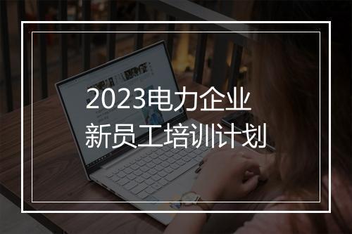 2023电力企业新员工培训计划