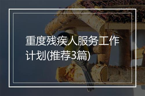 重度残疾人服务工作计划(推荐3篇)