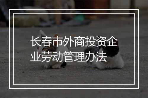 长春市外商投资企业劳动管理办法
