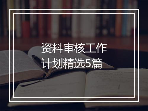 资料审核工作计划精选5篇