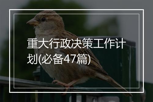 重大行政决策工作计划(必备47篇)