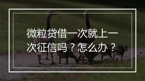 微粒贷借一次就上一次征信吗？怎么办？