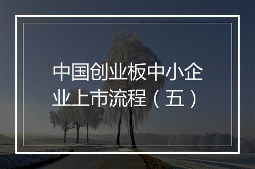 中国创业板中小企业上市流程（五）