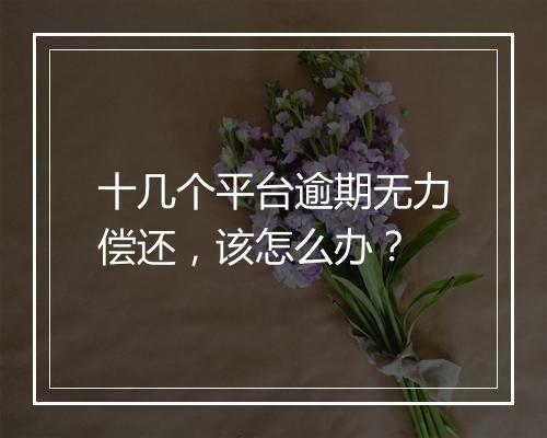 十几个平台逾期无力偿还，该怎么办？