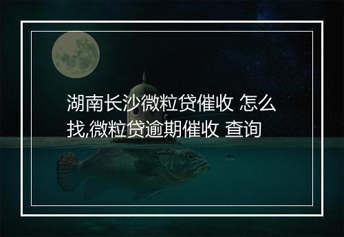 湖南长沙微粒贷催收 怎么找,微粒贷逾期催收 查询