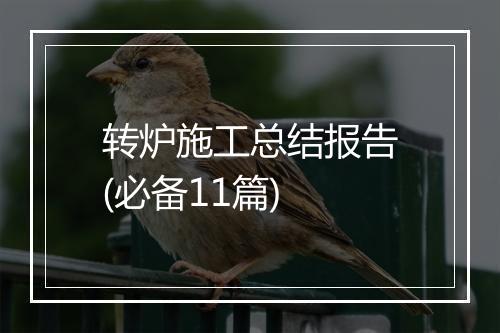 转炉施工总结报告(必备11篇)