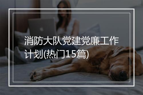 消防大队党建党廉工作计划(热门15篇)