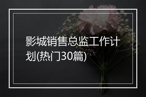 影城销售总监工作计划(热门30篇)
