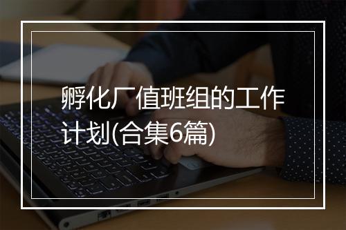 孵化厂值班组的工作计划(合集6篇)