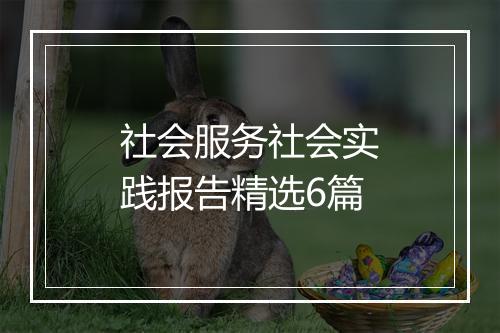 社会服务社会实践报告精选6篇