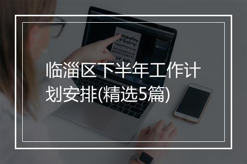 临淄区下半年工作计划安排(精选5篇)