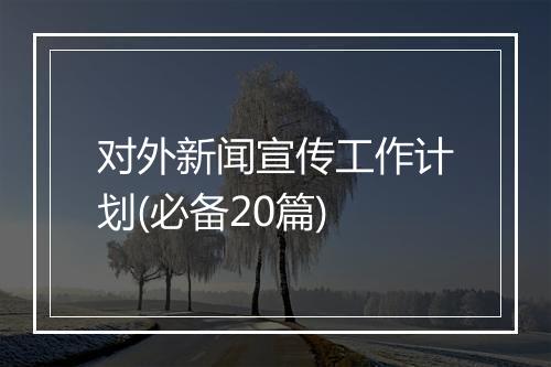 对外新闻宣传工作计划(必备20篇)
