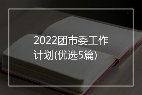 2022团市委工作计划(优选5篇)