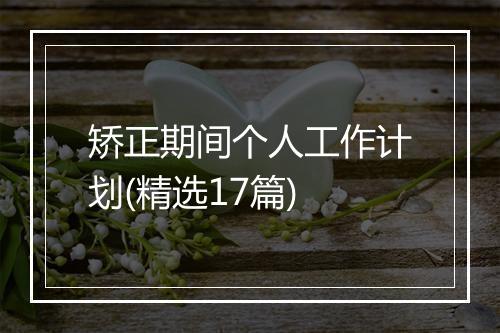 矫正期间个人工作计划(精选17篇)
