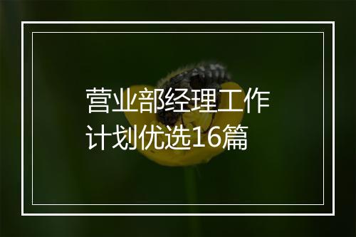 营业部经理工作计划优选16篇