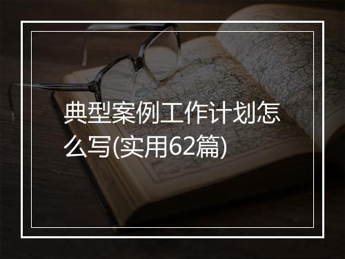 典型案例工作计划怎么写(实用62篇)