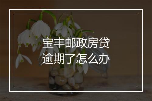 宝丰邮政房贷逾期了怎么办